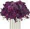 6PCS 32" Artificial Orchid Flower Stems – Phalaenopsis Faux Flowers for Home Decor